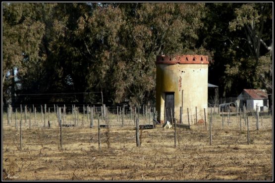 "El palomar..." de Roberto Di Siervi