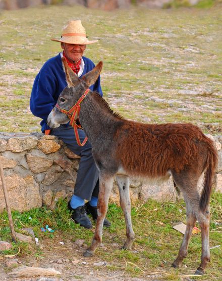 "Anciano y su burro" de Solis Alba Iris