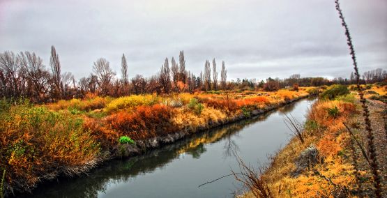 "`Paisajes distintos l`" de Jorge A. Cceres