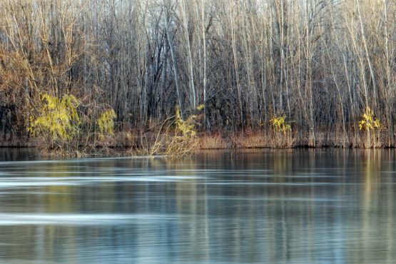 "Paseo por la costa del Limay" de Jorge A. Cceres