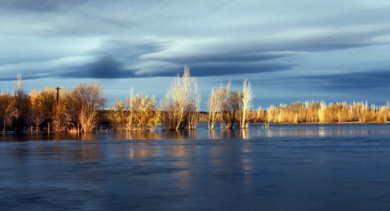 "Paseo por la costa del Limay 1" de Jorge A. Cceres