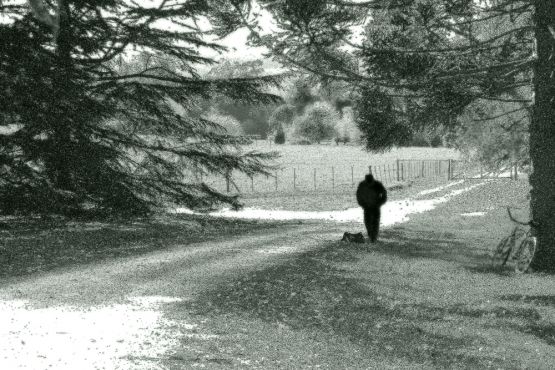 "caminando" de Stella Maris Kippke