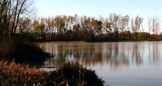 "reflejos y quietud.. en el rio" de Noemi Gomez