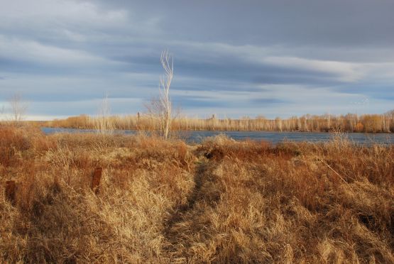 "`Sendero`" de Jorge A. Cceres