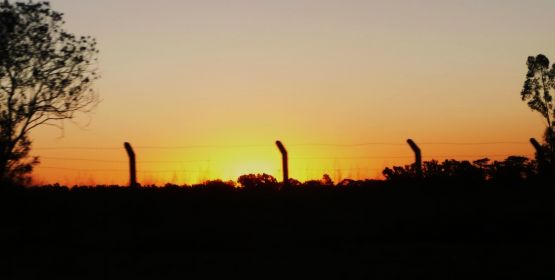 "ocaso en el camino a casa.." de Noemi Gomez