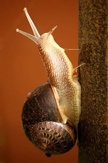 "Deslizamiento en vertical" de Pejuta Grnstein