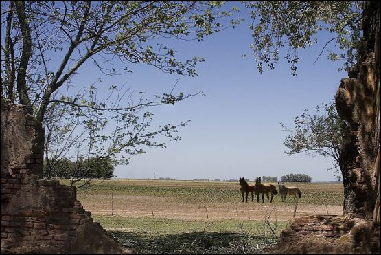 "Vision de campo" de Miguel Nicolini