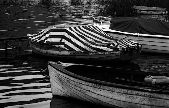"botes" de Adriana Torchia