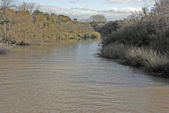 "el arroyo" de Anibal A. Fernandez