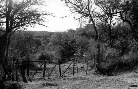 "Panorama gris" de Jorge Berterretch