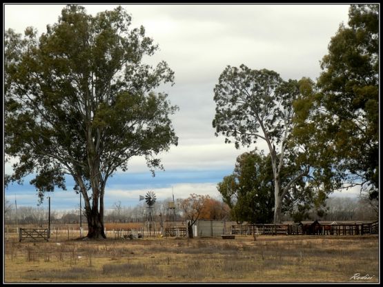 "Paisaje campero..." de Roberto Di Siervi