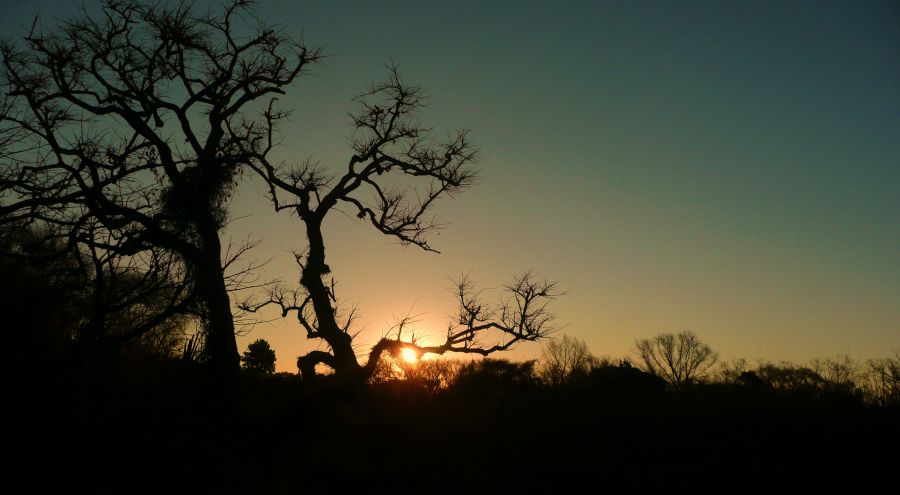 "siluetas del atardecer.." de Noemi Gomez