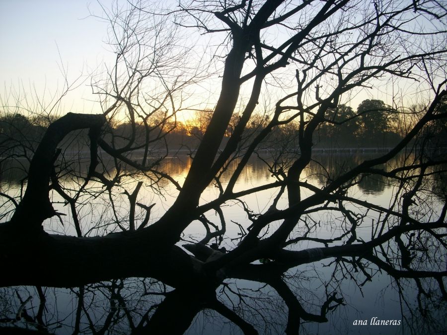 "atardecer de un da sereno." de Ana Llaneras.