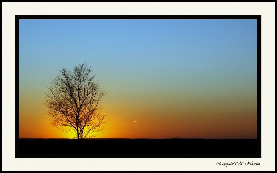 "amanecer detras d las ramas" de Ezequiel M. Nasello