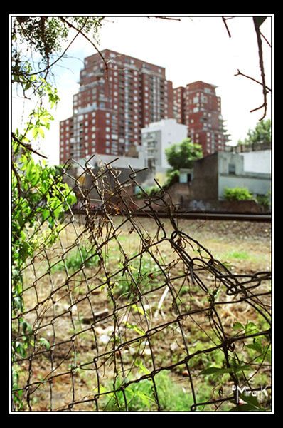 "alambrado" de Mirta Steinberg