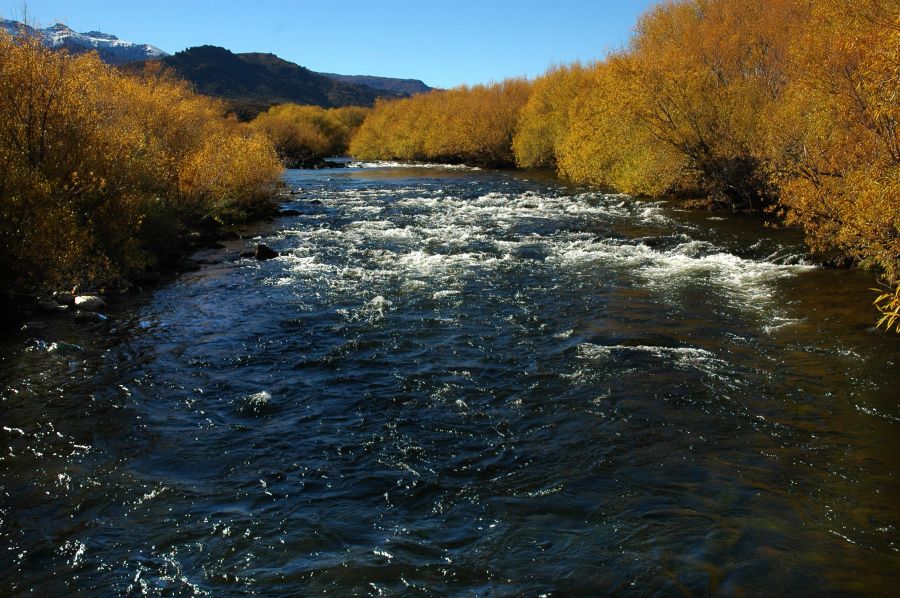 "`Rio Chimehuin`" de Jorge A. Cceres