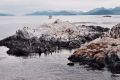 `LA ISLA DE LOS CORMORANES EN PLENO BEAGLE`