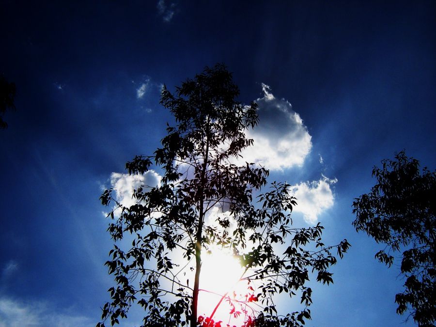 "Nube escondida" de Alma Delia Franco Cacho