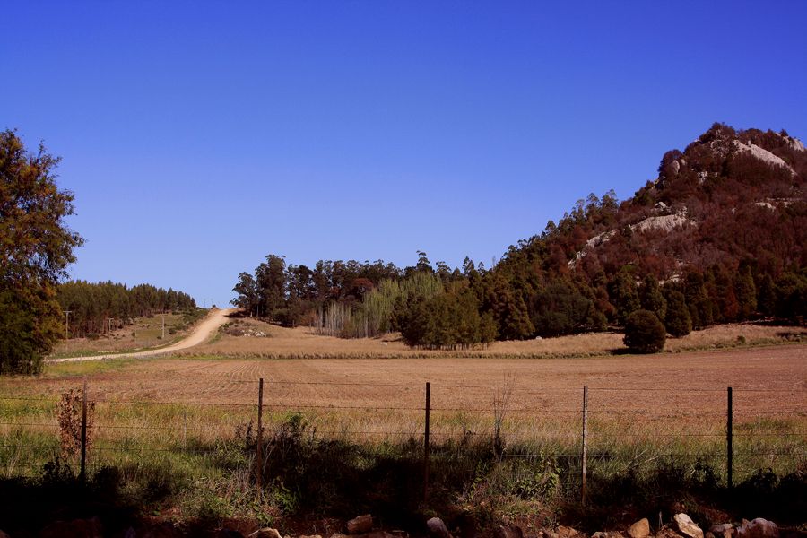 "CAMINO EN OTOO" de Stella Maris Kippke