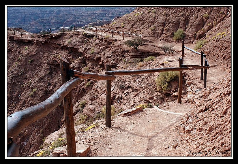 "camino al precipicio" de Ezequiel M. Nasello