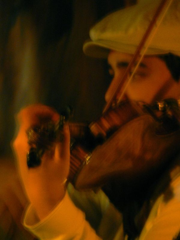 "el violinista" de Sandra Papadpulo
