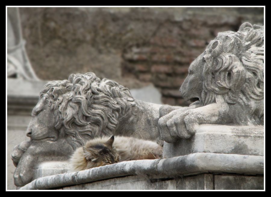 "Siesta en familia" de Claudio Retontali