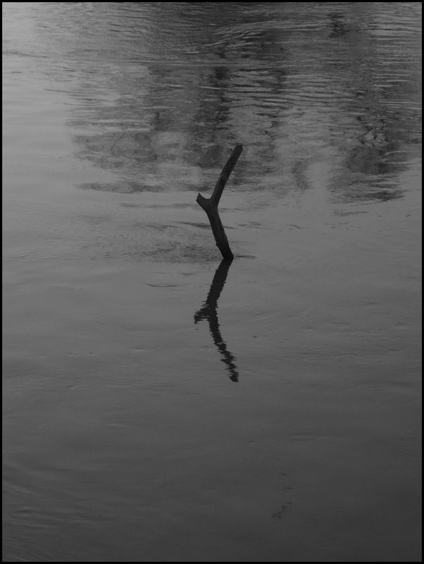 "Reflejos de soledad" de Vale Valeria Vergara