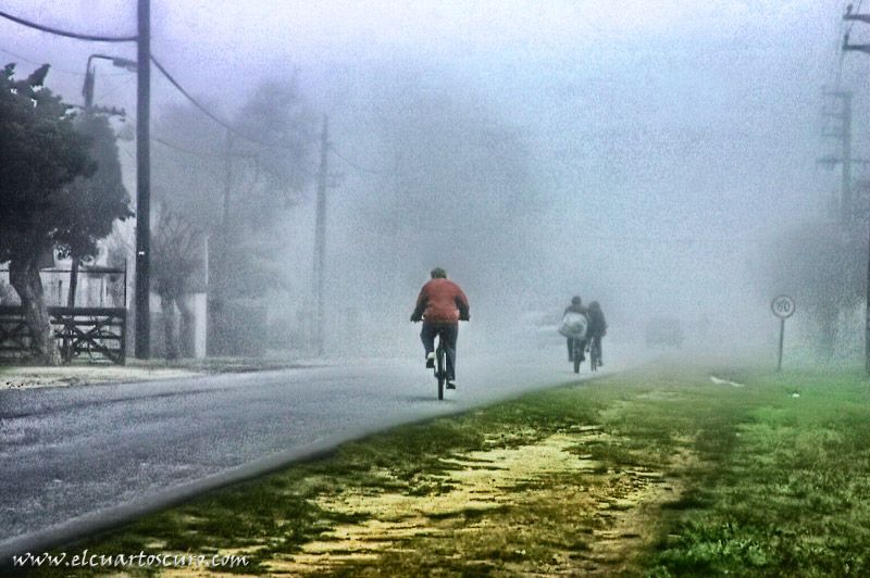 "entrando en la niebla" de Viviana Orozco