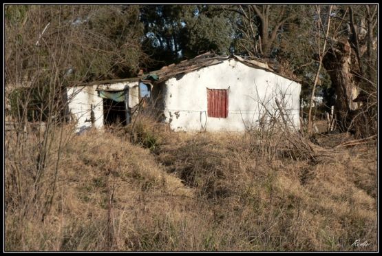 "Rancho pampeano..." de Roberto Di Siervi