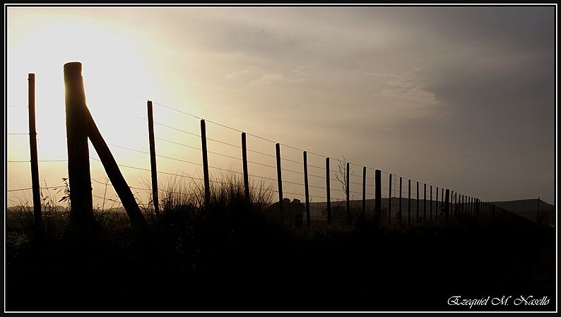 "iluminados por el sol" de Ezequiel M. Nasello