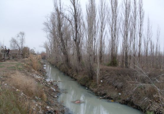 "Extrao canal" de Margarita Pellegrini