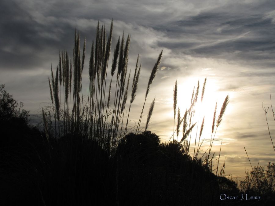 "Atardecer I" de Oscar Lema