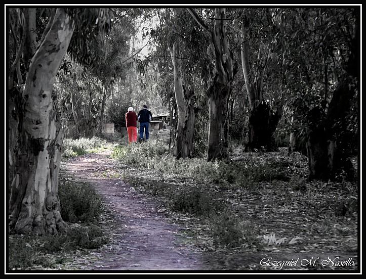 "camino con historias" de Ezequiel M. Nasello