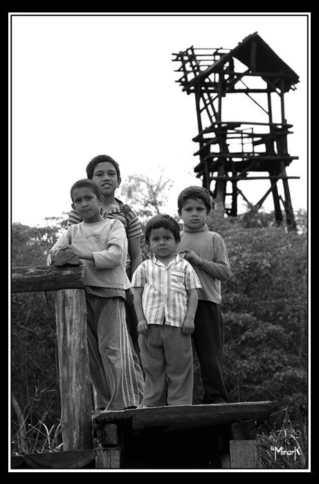 "hermanitos" de Mirta Steinberg