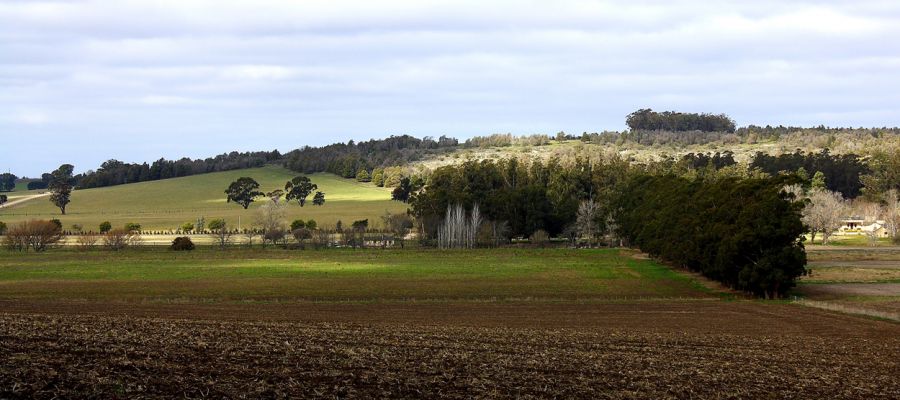 "PANORMICA" de Stella Maris Kippke