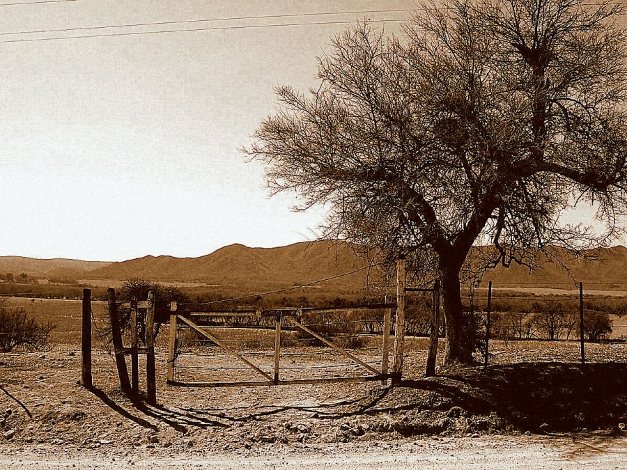 "Paisaje en sepia" de Jorge Berterretch