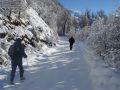 Caminando en la nieve