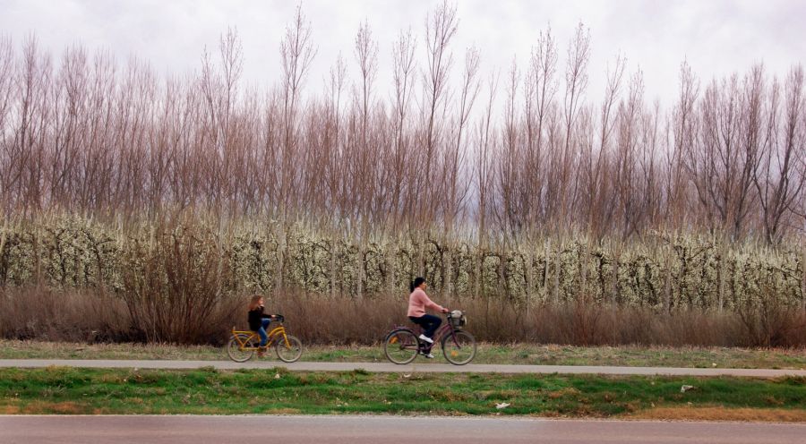 "`De paseo por las Chacras`" de Jorge A. Cceres