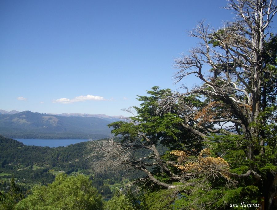 "desde el cerro..." de Ana Llaneras.