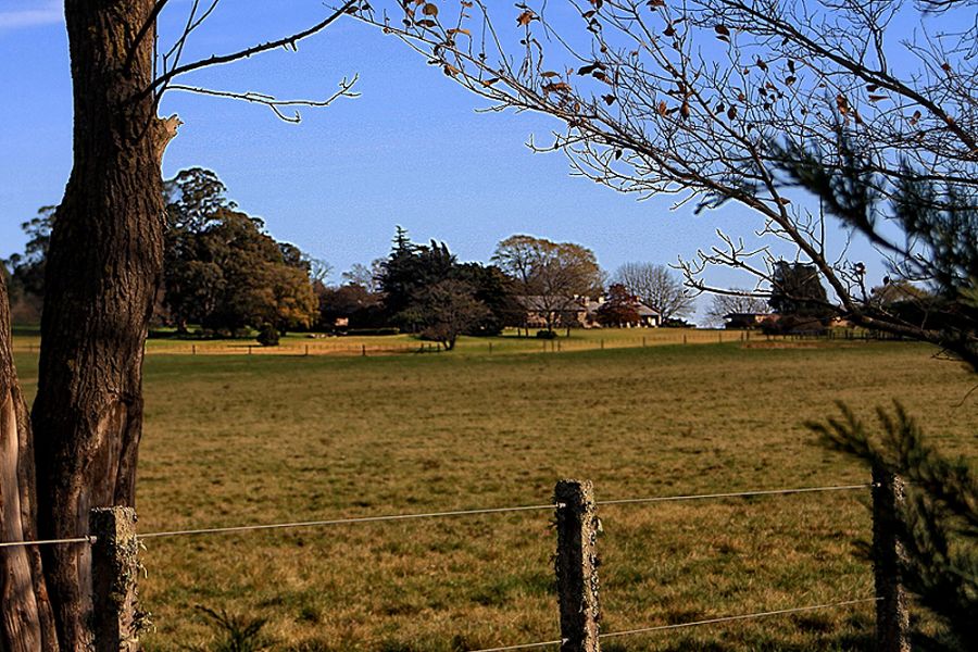 "OTRA CAMPESTRE" de Stella Maris Kippke