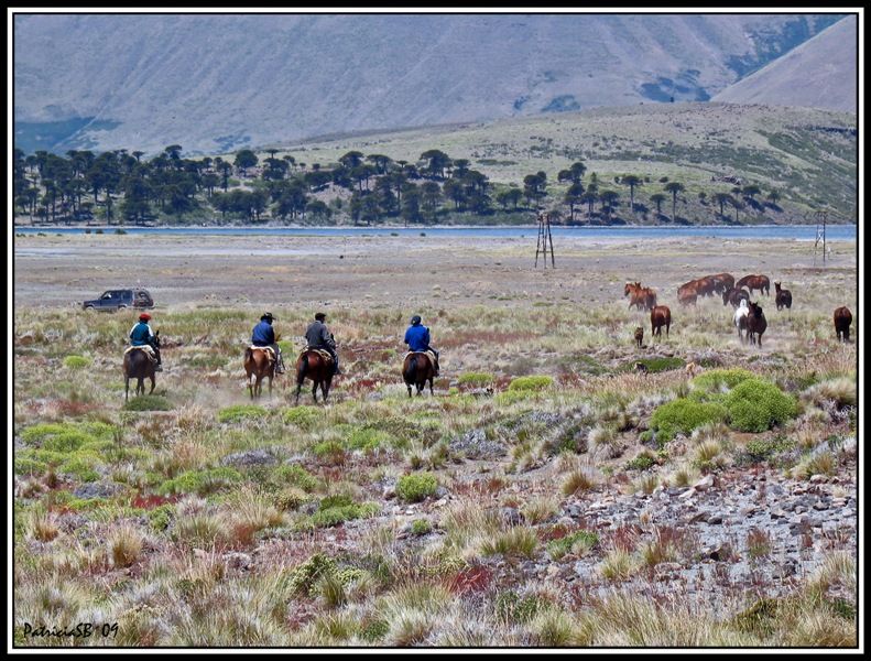 "Cabalgando" de Patricia Sgrignuoli