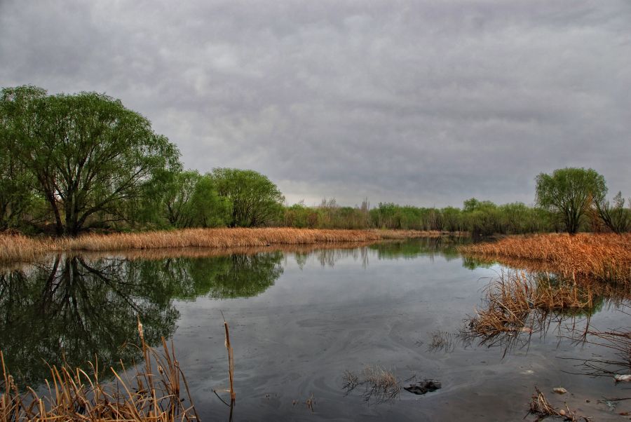 "Laguna, agua contaminada" de Jorge A. Cceres