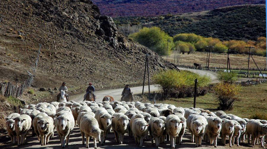 "`De regreso a casa`" de Jorge A. Cceres