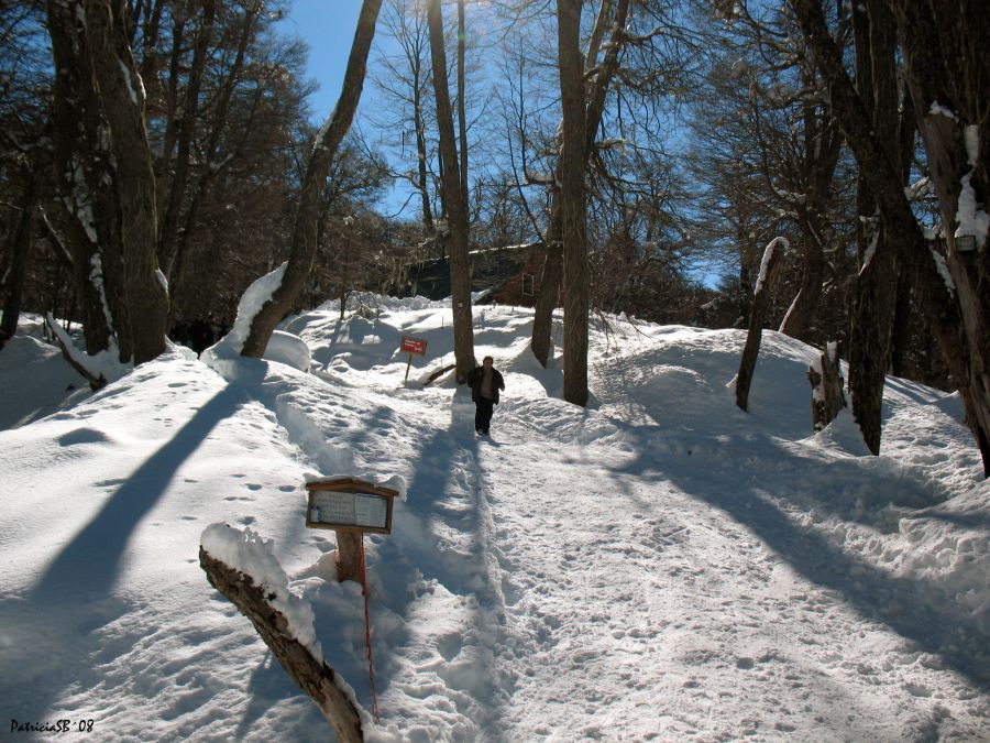 "Nieve" de Patricia Sgrignuoli