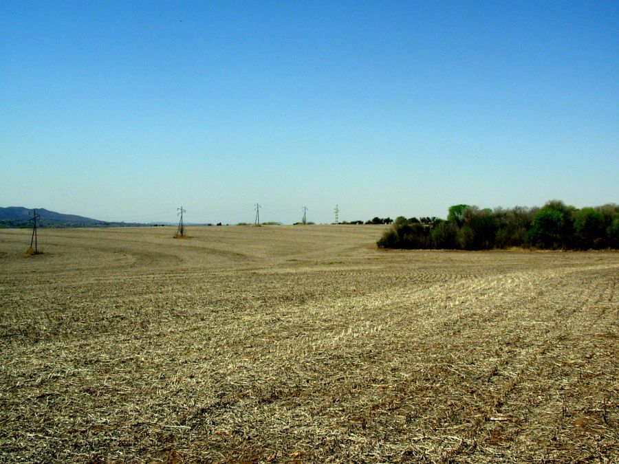 "Campos del valle (II)" de Jorge Berterretch