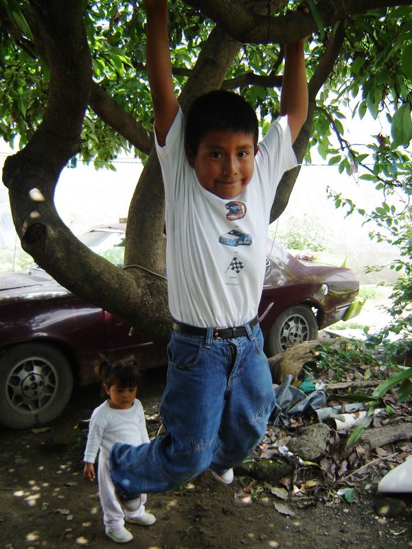 "Jugando en el rbol" de Alma Delia Franco Cacho