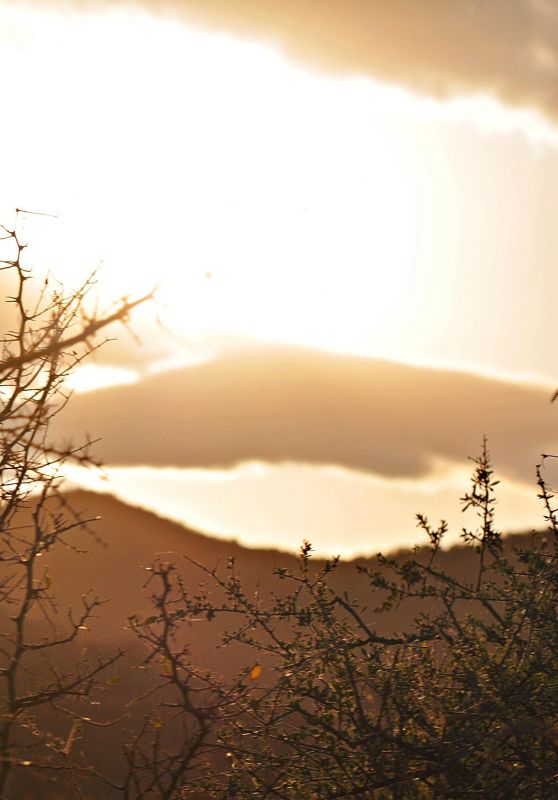 "Sol, Nubes, Montaas, Cielo, Plantas." de Martha A. Moreschi