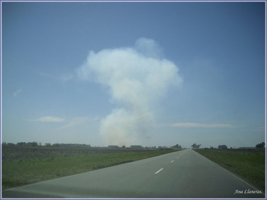 "Incendio en el campo." de Ana Llaneras.