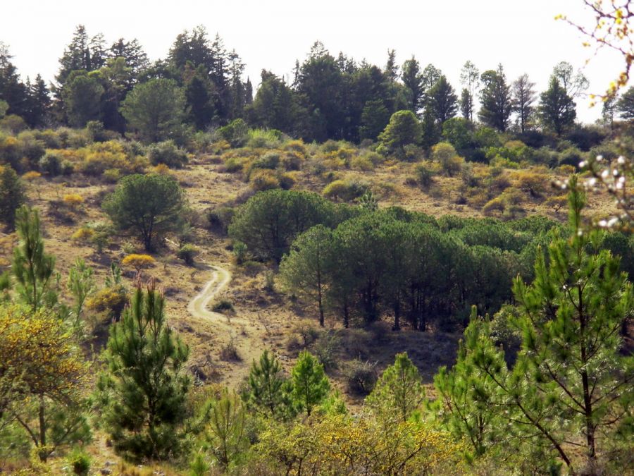 "Primavera en las sierras (II)" de Jorge Berterretch