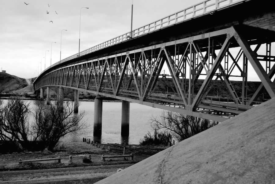 "Puente..." de Daniel Omar Alamo